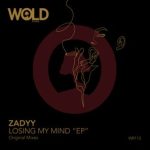 ZADYY – Losing My Mind