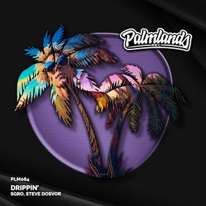 SGRO, Steve Dosvor – Drippin’ (Extended Mix)