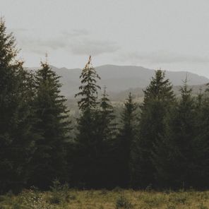 Cheise – Just Breather