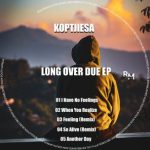 KoptjieSA – Long over Due