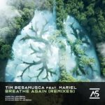 Tim Besamusca, RY4N W1LSON – Breathe Again (Remixes)