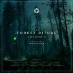 Folic State, Hefty – The Forest Ritual, Vol. 2