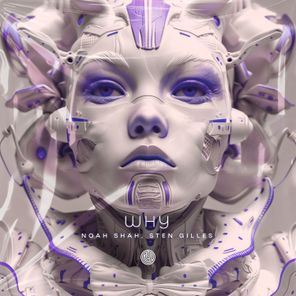 Noah Shah, Sten Gilles – Why