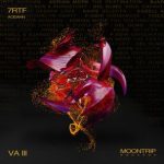 7RTF – Acidahn