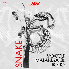 BOHO, Malandra Jr. – Snake