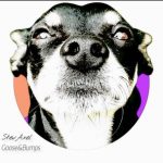 StevAxel – Goose & Bumps