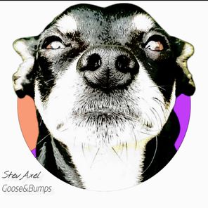 StevAxel – Goose & Bumps