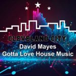 David Mayes – Gotta Love House Music