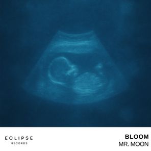 Mr. Moon – BLOOM