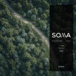 Nicolas Viana, Molac – Soma