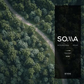 Nicolas Viana, Molac – Soma