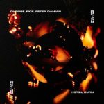 Peter Damian, Di Fiore – I Still Burn