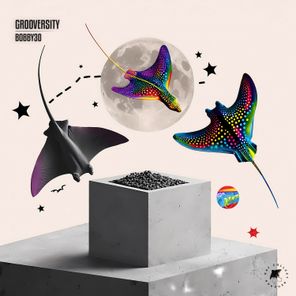 BOBBY30 – GROOVERSITY