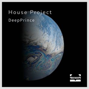 DeepPrince – House Project