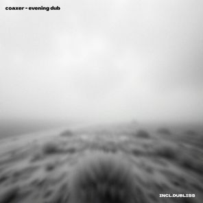 coaxer, Dubliss – Evening Dub