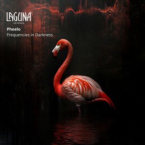 Pheelo – Frequencies in Darkness