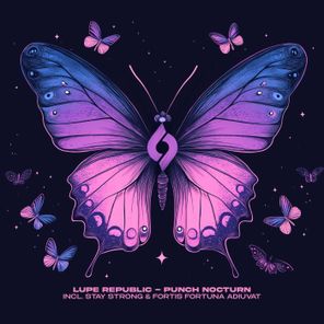 Lupe Republic – Punch Nocturn