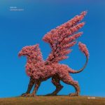 AMO:RA – Opportunity