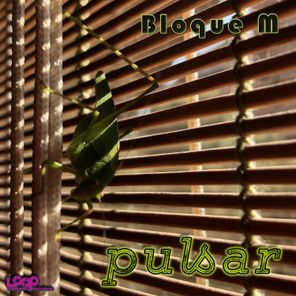 Bloque M – Pulsar