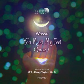 Lio Q, Kasey Taylor – You Make Me Feel Remixes