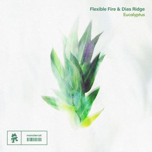 Flexible Fire, Dias Ridge – Eucalyptus