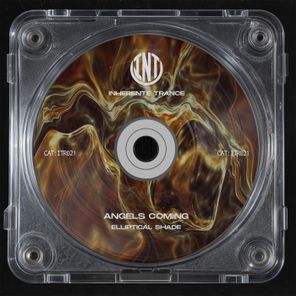 Elliptical Shade – Angels Coming