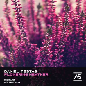 Ormus, Daniel Testas – Flowering Heather