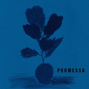 Pedro Bertho – Promessa