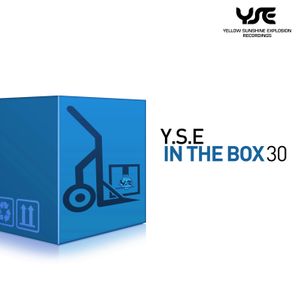PRO-Gram, Alternate Side – Y.S.E in the Box, Vol. 30