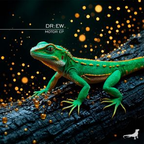 DR:EW – Motor
