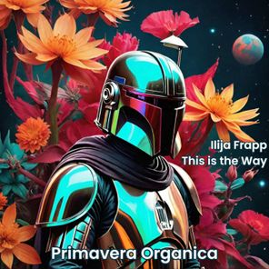 Ilija Frapp, Atman Electronic – This Is the Way