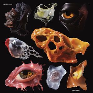 Ian Ludvig, Vicky Montefusco – Perceptions V