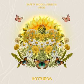 Safety Mode, Sense IS – Stoic