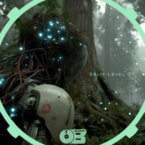 Haveck, Tom Avequi – Split-Level 07