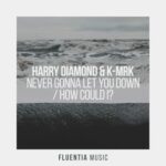 Harry Diamond, K-MRK – Never Gonna Let You Down + How Could I?
