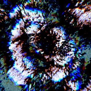 Bønehead – Quantum Decøherence