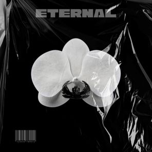 No Mind, Gisella Engel – Eternal