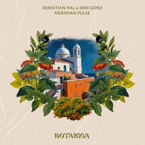 Idin Gorji, Sebastian Hal – Meridian Pulse