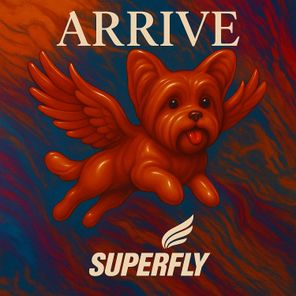 Rey Vercosa, Superfly – Arrive