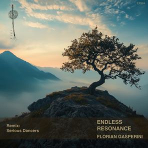 Florian Gasperini, Serious Dancers – Endless Resonance