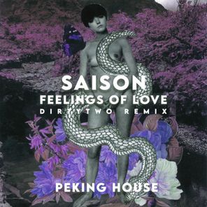 Dirtytwo, Sasion – Feelings Of Love (Dirtytwo Remix)