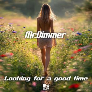 Mr.Dimmer – Looking For A Good Time