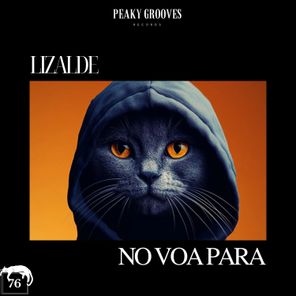 LIZALDE – No Voa Parar
