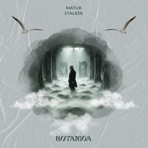 Matur – Stalker