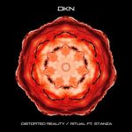 DKN, Stanza – Distorted Reality / Ritual