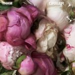 Tham – World of Rave