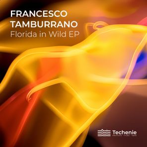 BLOMAQ, Francesco Tamburrano – Florida in Wild