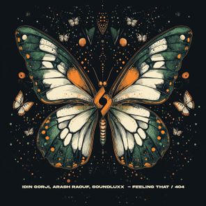 Idin Gorji, Soundluxx – Feeling That / 404