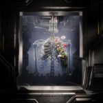 Sezer Uysal – Regeneration