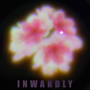 Schlindwein – Inwardly